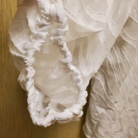 NWOT Zebra Print Semi Sheer Tunic Bishop Sleeve Size Lg - Picture 7 of 12